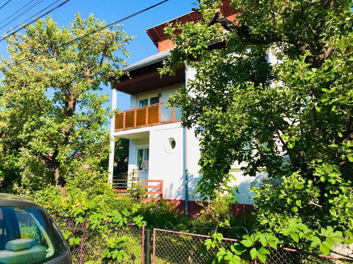 Apartament Vica Gura Humorului Dış mekan fotoğraf